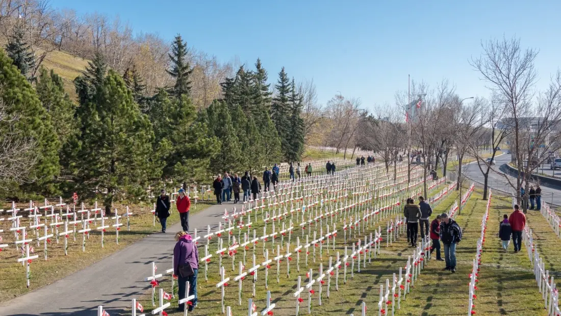 Calgary's Field of Crosses returns with 3,700 illuminated tributes this November