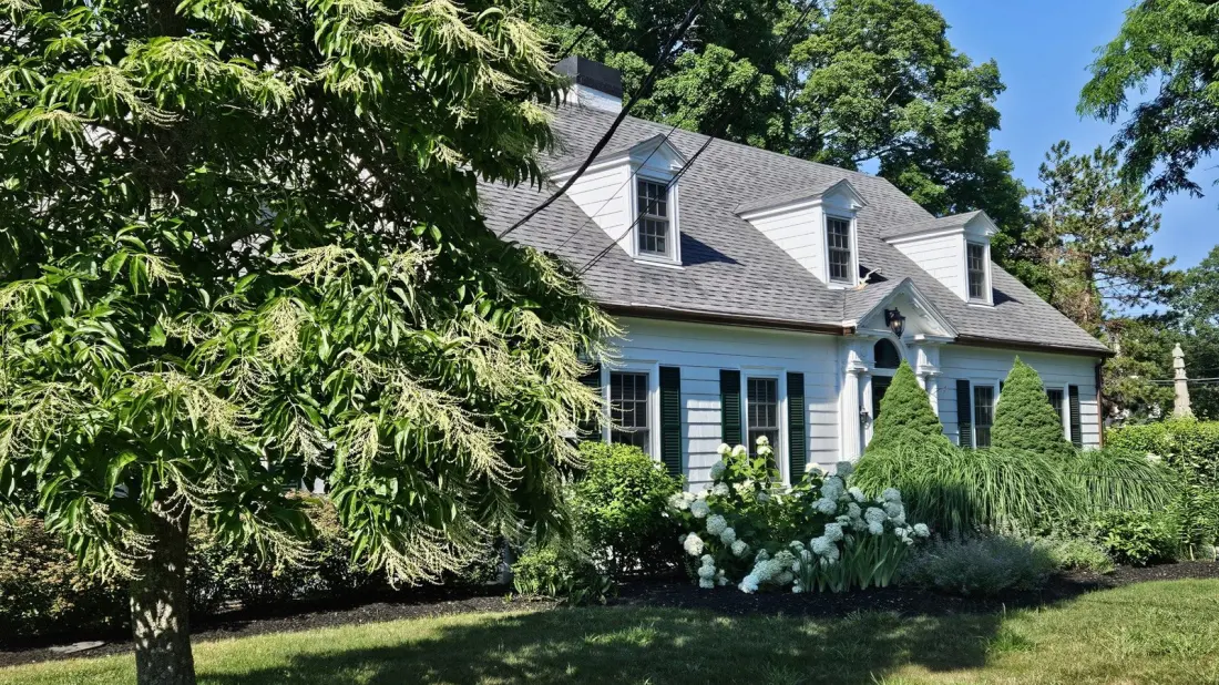 Afternoon Tea Without the Transatlantic Flight: Inside Wenham Tea House, America's Oldest Tea House