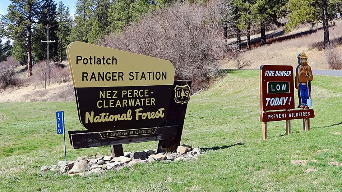 Federal Judge Puts the Brakes on the Forest Service's Move to Utah