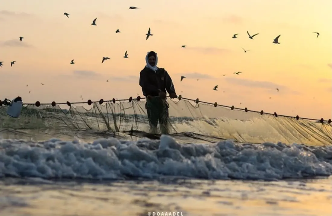 Fish Skin Couture: How Port Said's Fishing Families Are Turning Ocean Waste Into Fashion