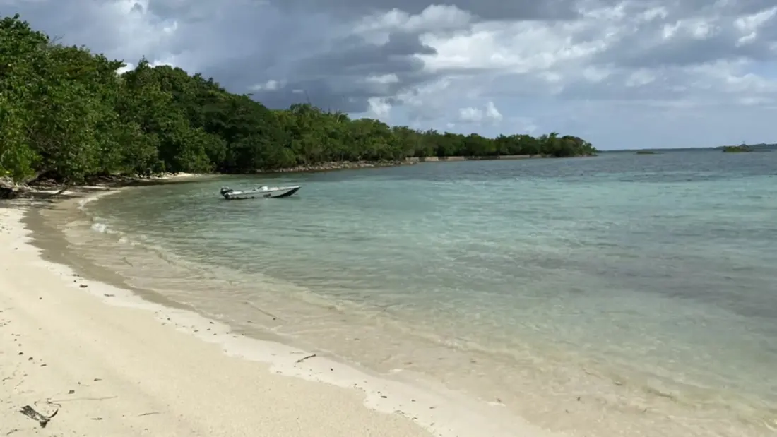 Jamaica Courts Airlines to Keep Seats Coming as Caribbean Capacity Shrinks
