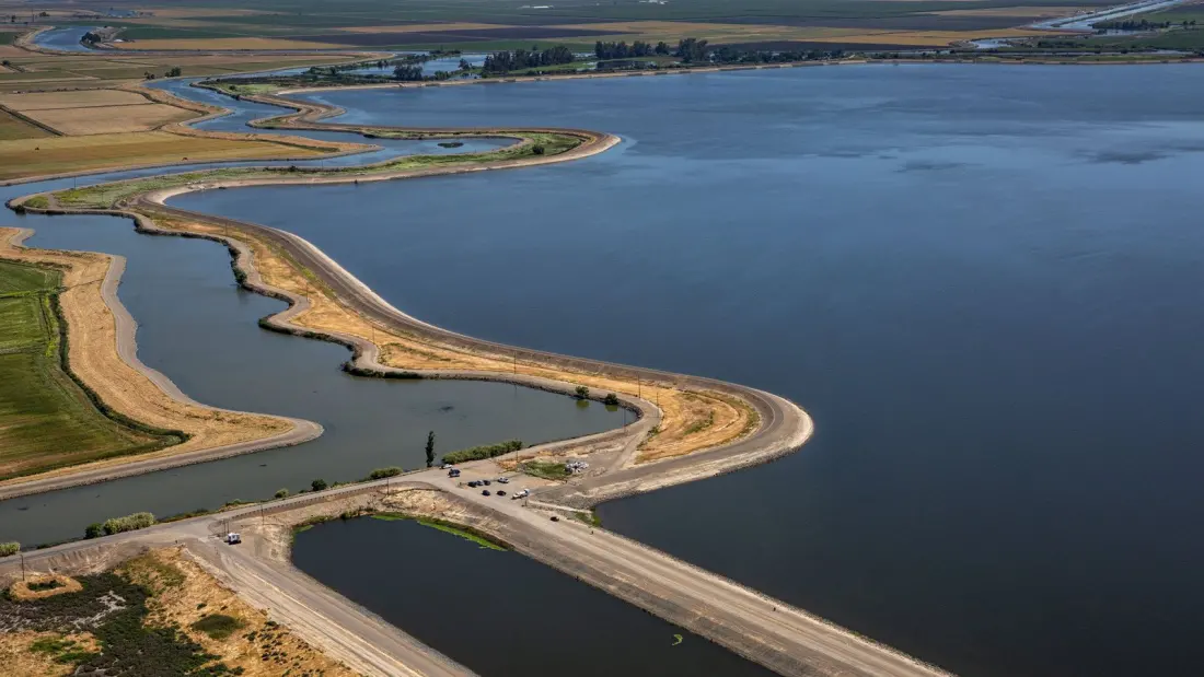 Clifton Court Forebay: The Man-Made Delta Lake Where Fishing Is Free and Bald Eagles Cruise Overhead