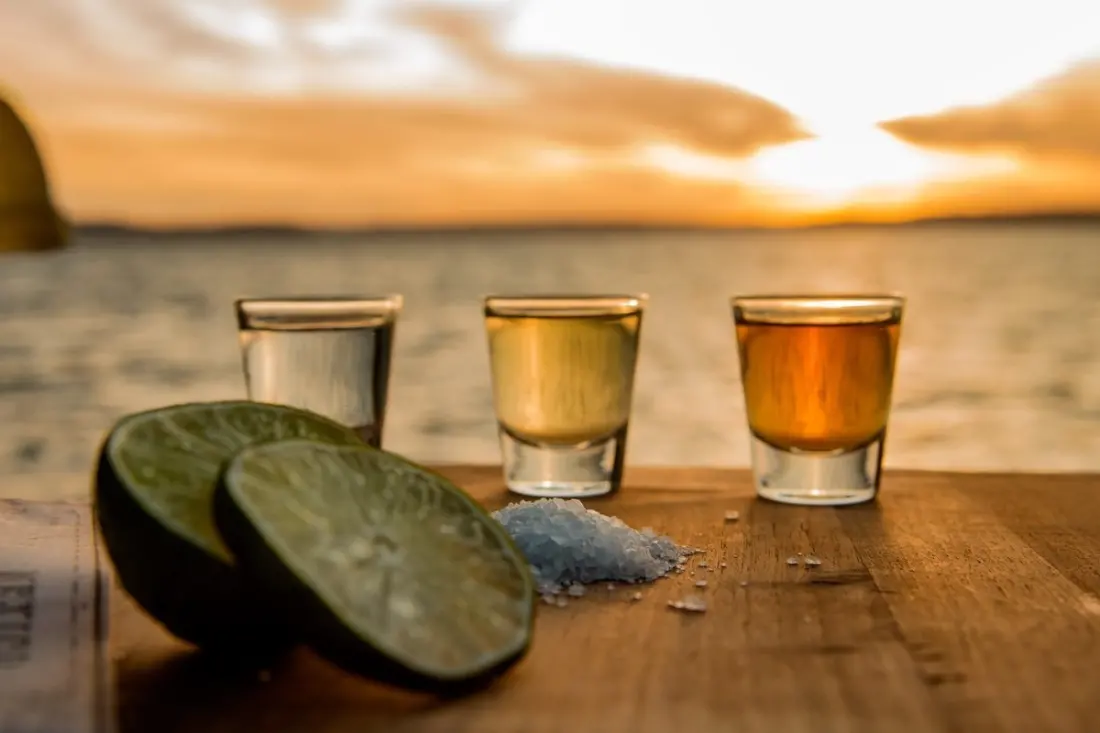 Tequila, Mezcal or Pulque? A Quick Guide to Mexico's Three Agave Drinks