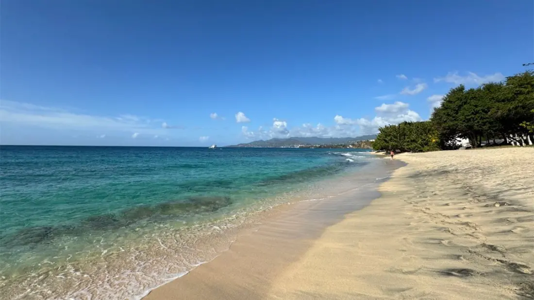 Grenada's Visitors Spent a Record US$388 Million in 2025 — and the Island Wants More of It Spent Locally