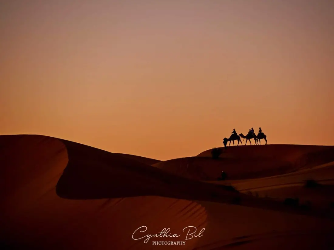 Morocco in 2026: Three Itineraries That Cover Imperial Cities, the Sahara and the Surf Coast