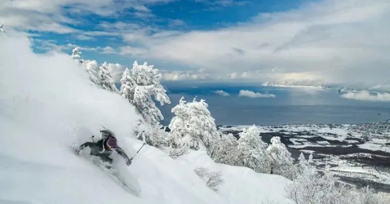 Chasing 'Japow': Why Japan's Powder Should Top Your Next Ski List