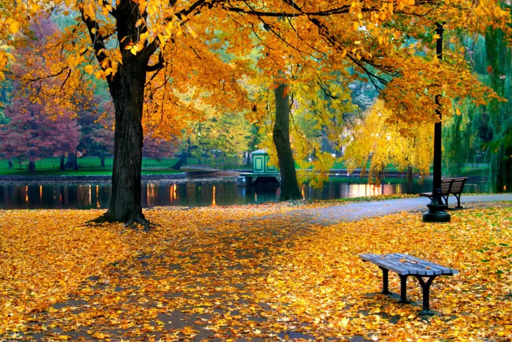 Astrocartography for Cruisers: Why Fall Is Prime Time to Follow Your Mercury or Venus Line