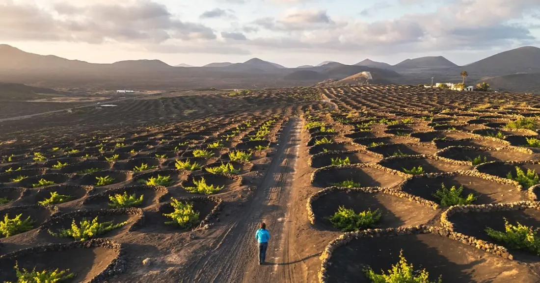 Seven Spanish Wine Regions Worth Planning a Trip Around