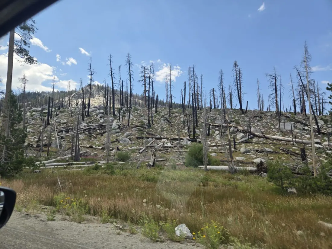 Day Zero on the John Muir Trail: Burned Forests, Gas-Station Detours and a Strict Permit Clock
