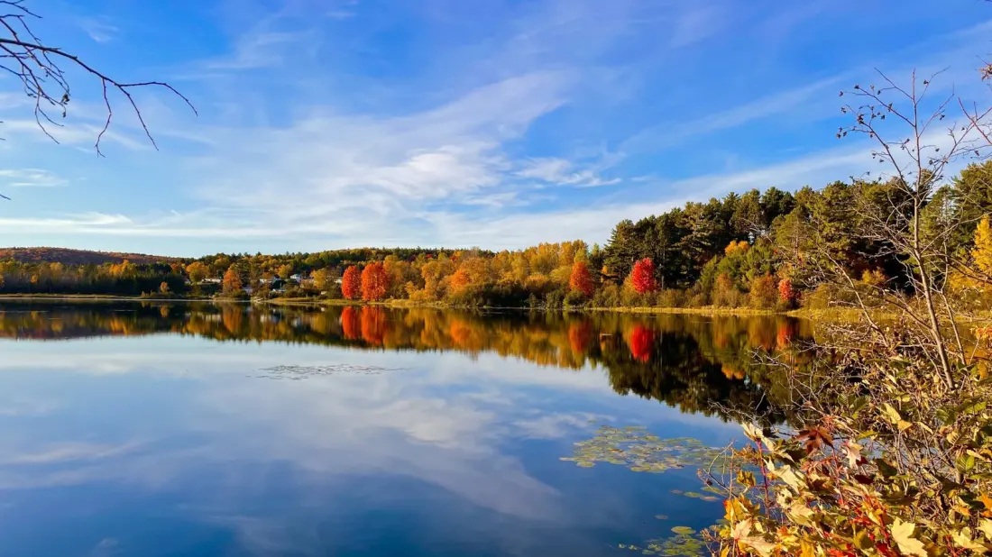 Barry's Bay: The Small Ontario Town That Doubles as Algonquin Park's Back Door
