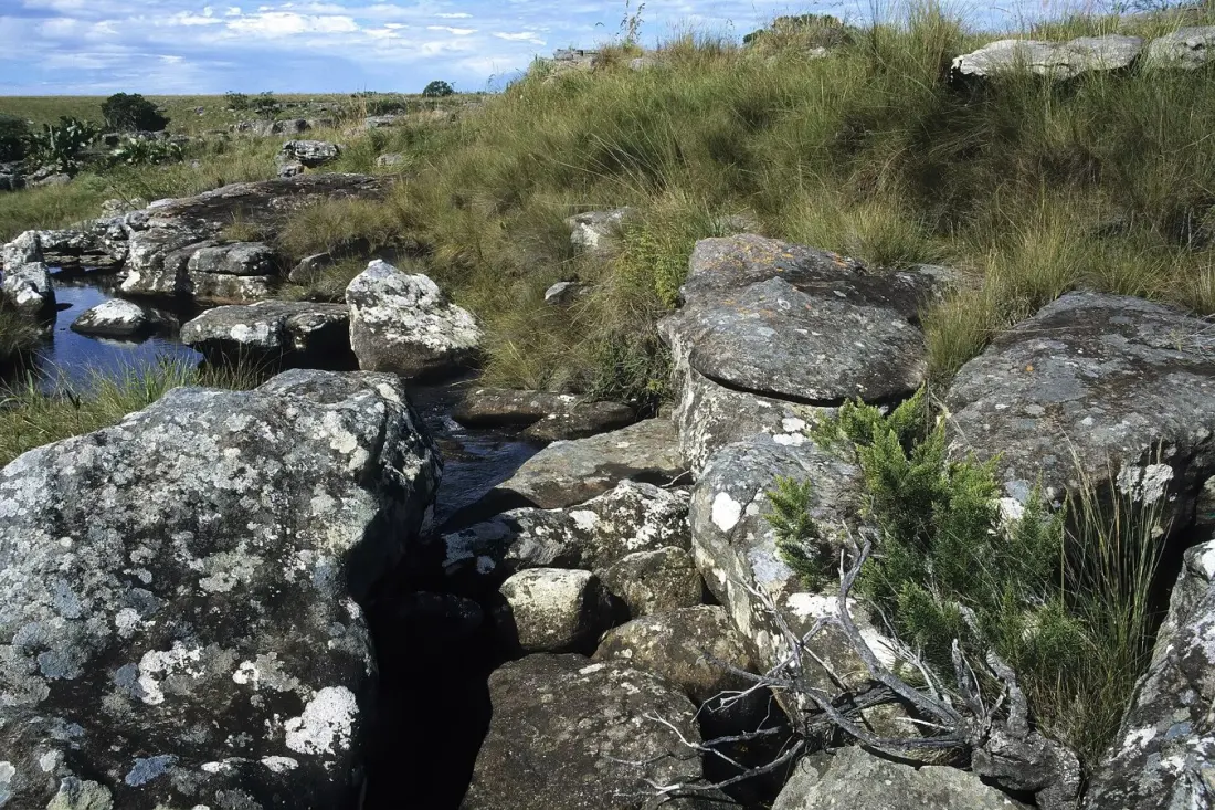 Mkhambathi Nature Reserve: Waterfalls, Wild Beaches and a New Ramsar First