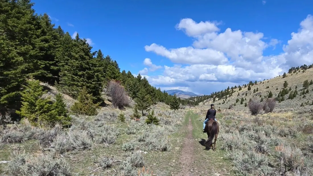 Rocking Z Guest Ranch: A Family-Run Montana Dude Ranch Where the Horses Come First
