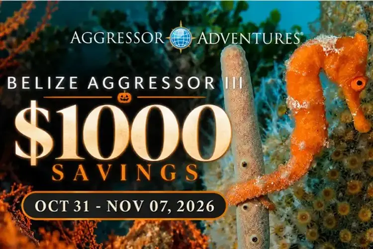 Save $1,000 on a Belize liveaboard dive trip aboard the Belize Aggressor III