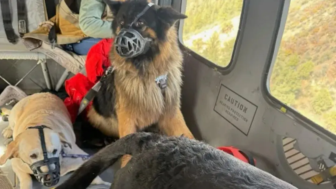 When the Flood Comes, Go: Lessons From an 11-Hour Night in an Overturned Colorado RV