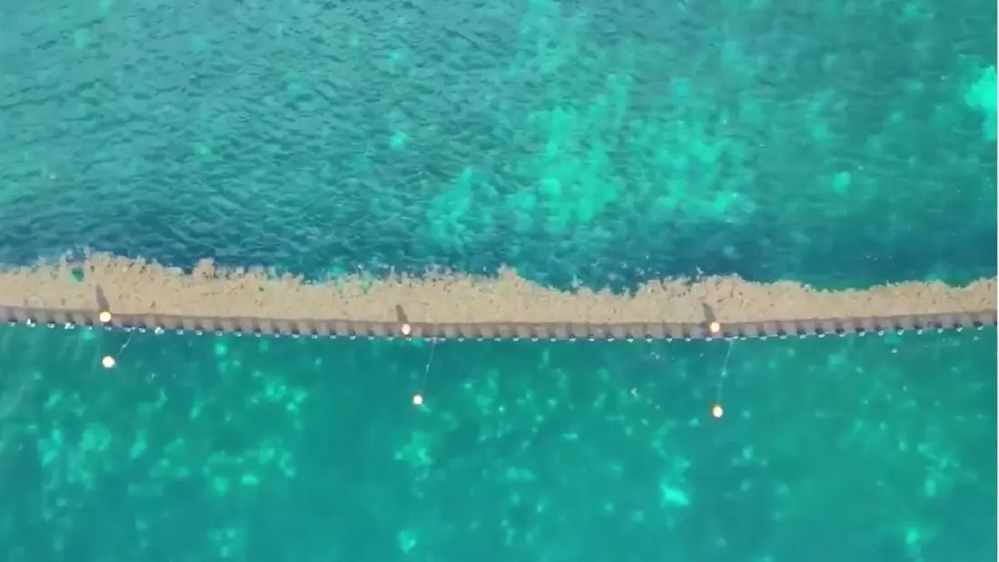 Sargassum forecast hits 80 million tons for 2027 — Mexico isn't waiting to act