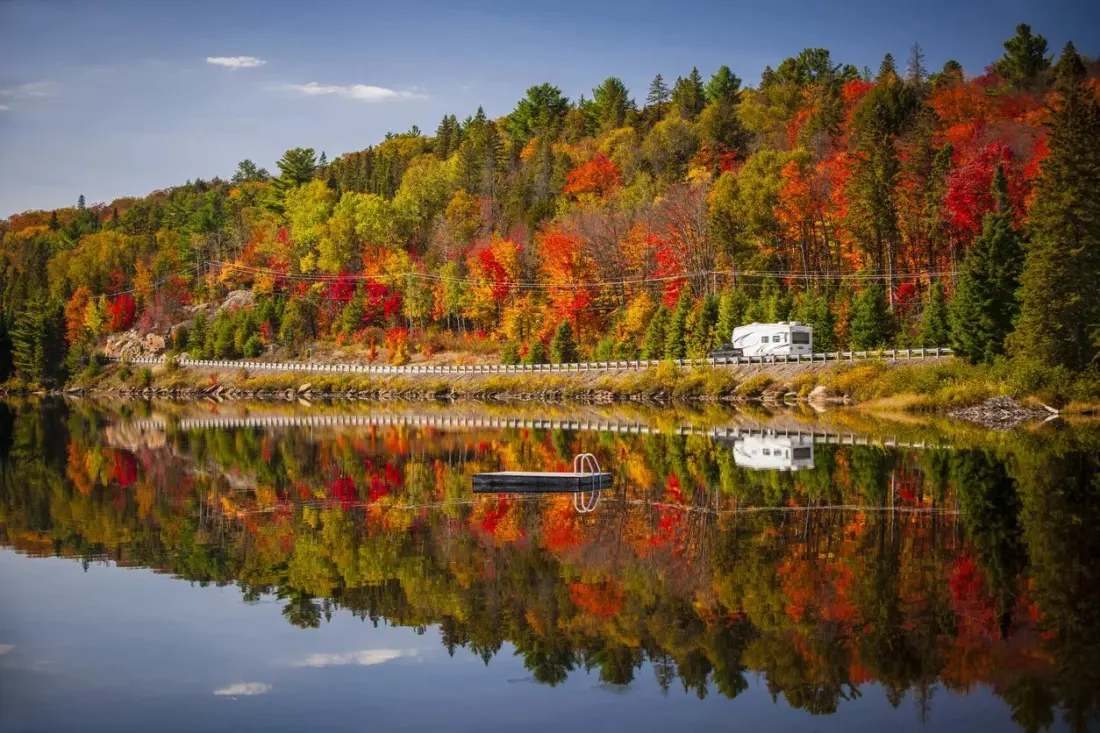 Algonquin in Autumn: Where to See the Colours and How to Share the Park With Its Wildlife