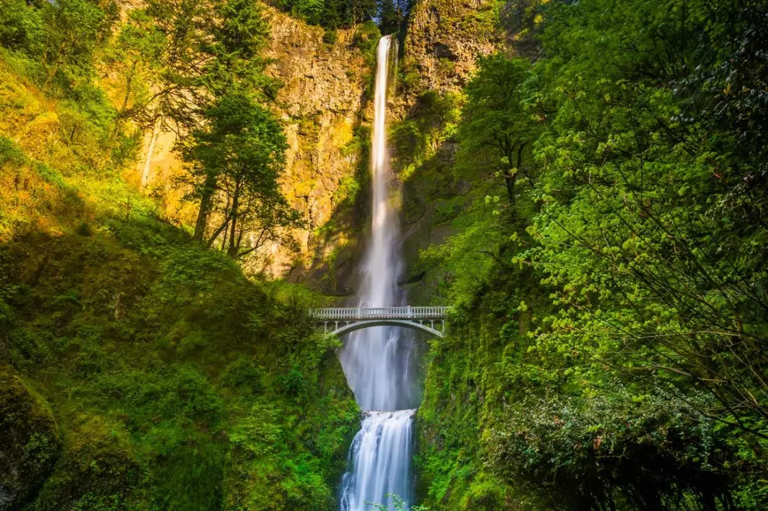 Portland's Half-Day Columbia River Gorge Tour Hits Five Waterfalls Including Multnomah Falls
