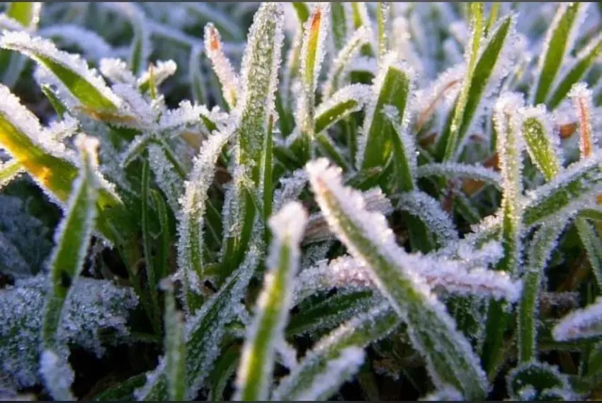 Kyrgyzstan braces for hard frosts on 24–25 October as autumn bites early