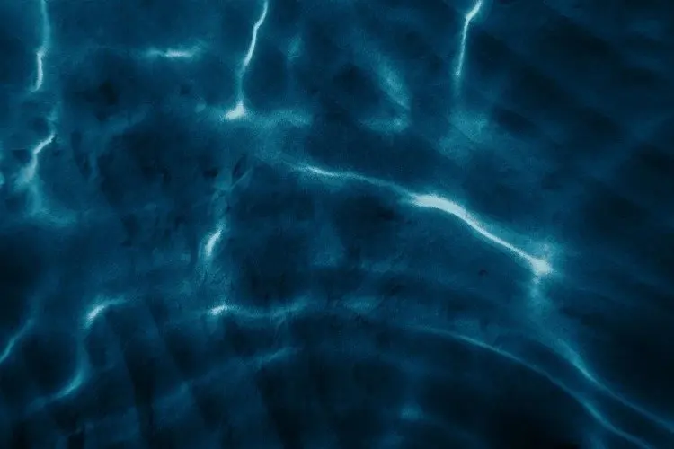 Test Your Knowledge of the Deep with a True-or-False Ocean Mysteries Quiz