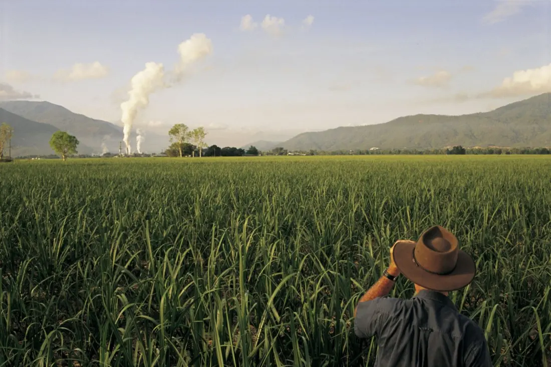 Mossman: the Queensland sugar town fighting to stay on the map