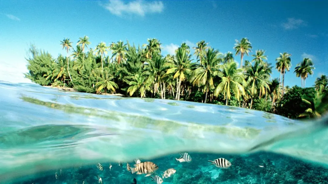 Honeymoon ideas for 2027: from Greek island-hopping to safaris and cenotes