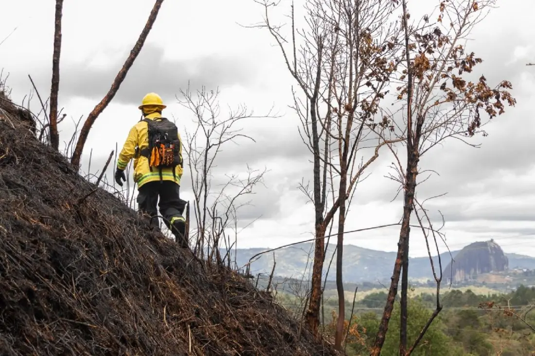 El Niño Confirmed in Colombia: What Travellers Should Expect Into 2027