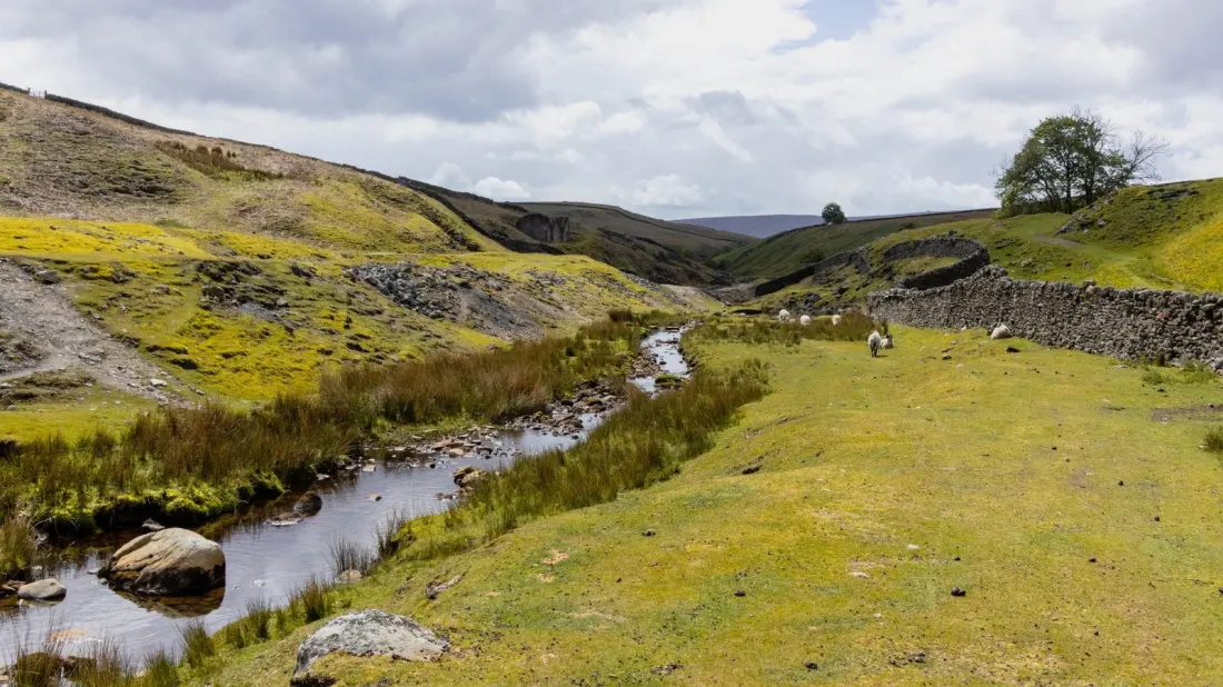 Yorkshire Dales: Patrick Stewart's Favourite Corner of England, and Why It Should Be on Your List