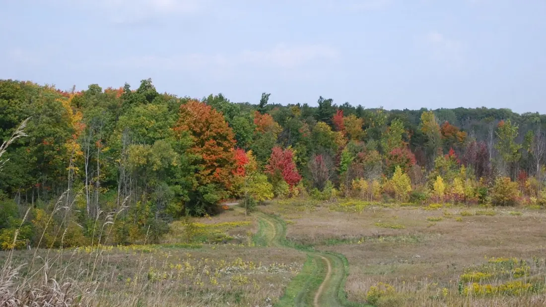 Ten easy fall day trips from Toronto, from ghost hamlets to a ferry-access island