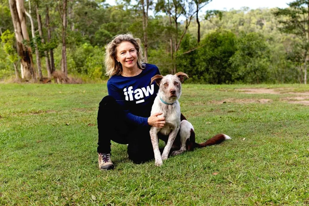 Oaka the koolie takes over from Bear, Australia's famous koala rescue dog