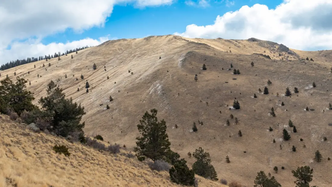 A Hiker Wrote Goodbye Notes on New Mexico's Mount Taylor — Here's What Saved Him