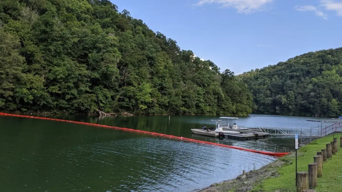 Fishtrap Lake: Kentucky's Quiet 16.5-Mile Reservoir for Fishing, Boating and Birding