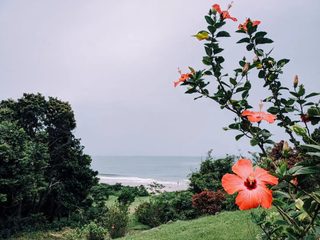 Hibiscus Coast vs North Coast: Why KZN's South Coast Wins for a Quiet Beach Break