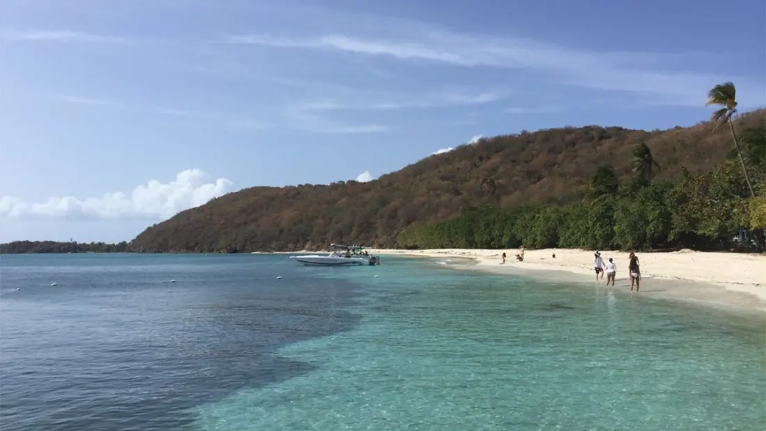 Avelo Opens Puerto Rico Bookings Through April 2027, With New West Coast Routes
