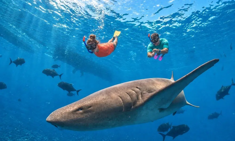 Kandooma Maldives just made all-inclusive mean more than food and drinks