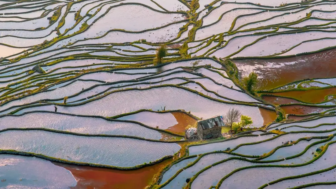 Yuanyang rice terraces: where Yunnan's mountains have been farmed for 1,300 years