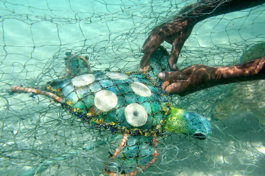 Ghost Nets Turned Art: The Torres Strait Workshop Healing the Reef