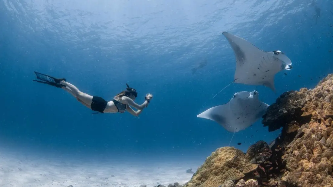 Snorkelling with mantas at Four Seasons Landaa Giraavaru in the Maldives