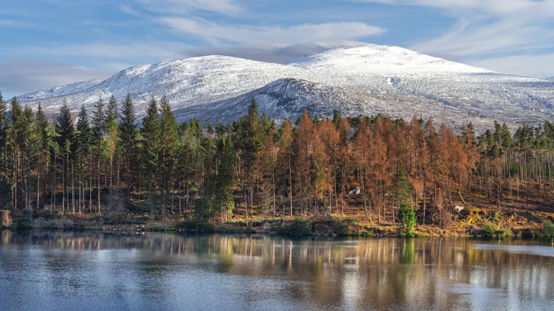 Fort William: Why Scotland's 'Outdoor Capital' Belongs on Your Highland List