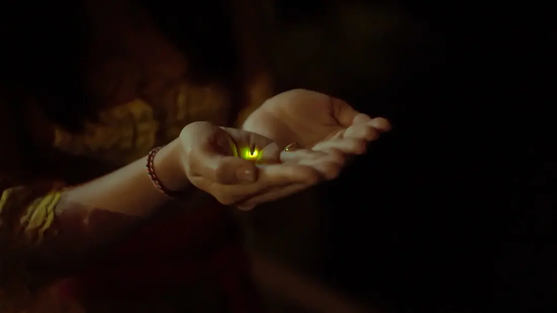 What Fireflies in Bali Can Teach You About Sleeping Better