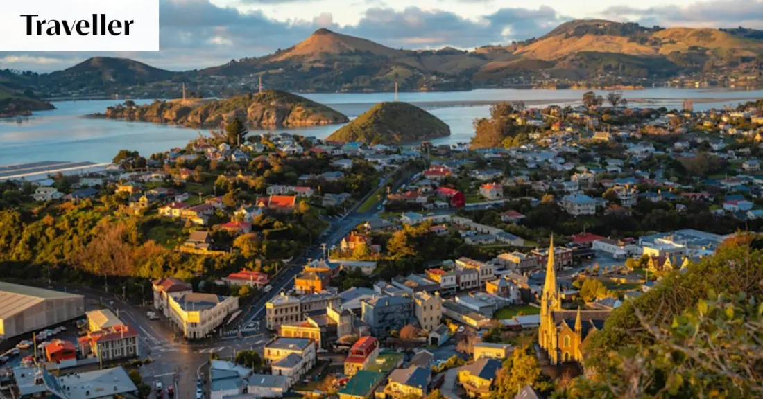Dunedin in winter: Matariki stars, albatross and a bone-sculptor's house museum