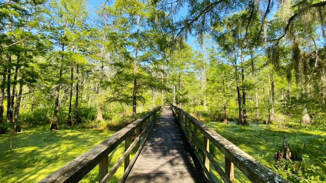 Dungannon Plantation: A Free Wetland Escape 30 Minutes From Charleston