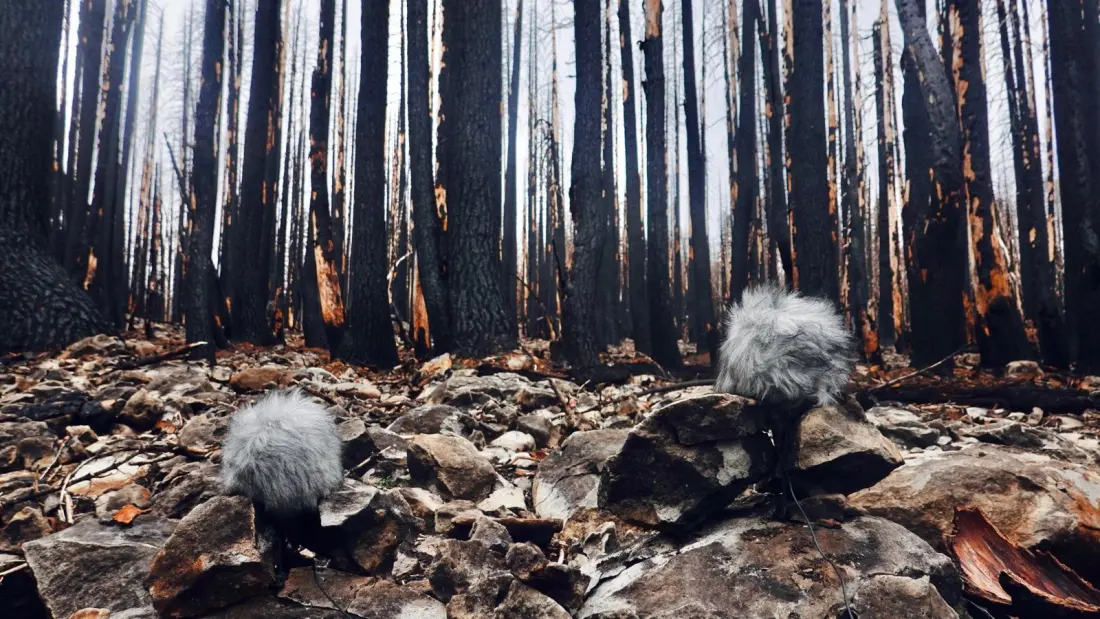 A Free Sound Map Lets You Hike the Pacific Crest Trail With Your Ears