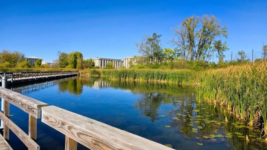 Westwood Hills: The Free 160-Acre Nature Escape 15 Minutes From Minneapolis