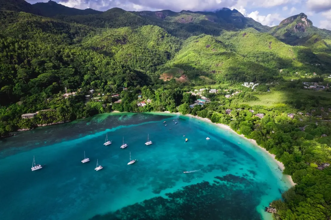 Seychelles underwater: what's really beneath those postcard beaches