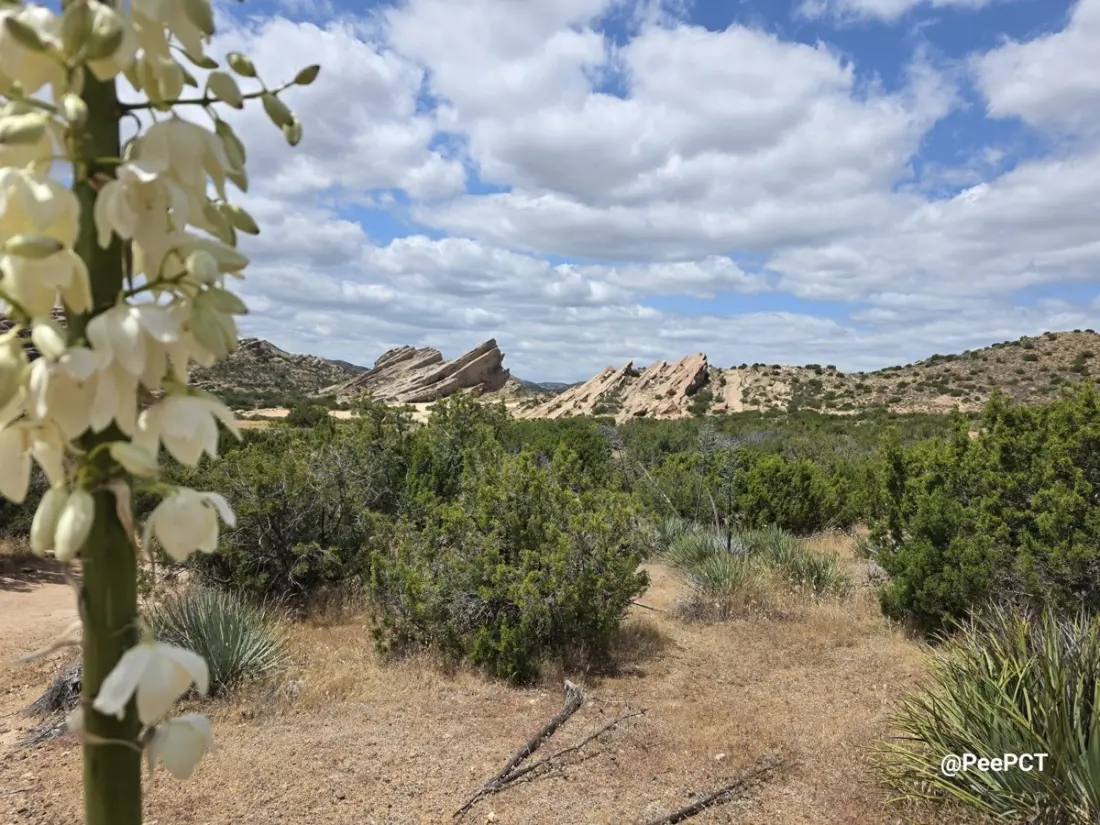 500 Miles In: What the Southern Section of the Pacific Crest Trail Is Really Like