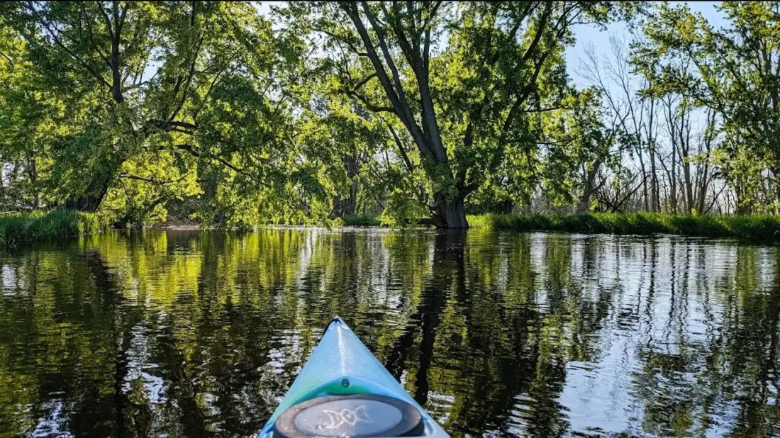 Killsnake Wildlife Area: Wisconsin's Free Wetland Escape Between Milwaukee and Green Bay