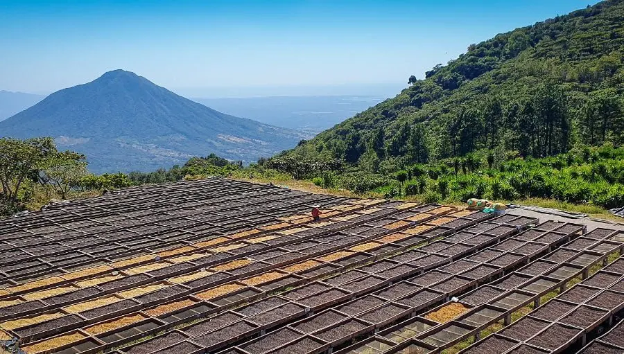 El Salvador's Coffee Route: Mountain Towns, Working Farms and Fresh-Roasted Cups