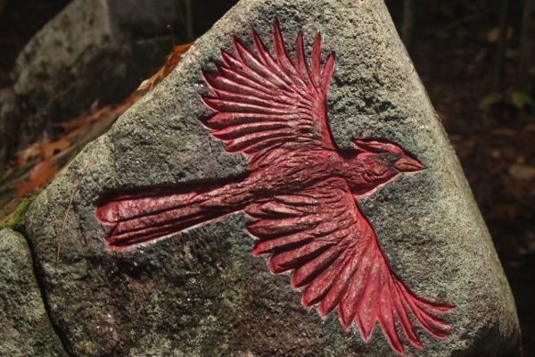 Maine's Secret Bird Petroglyphs: A Hike Through Kevin Sudeith's Stone Wildlife Gallery