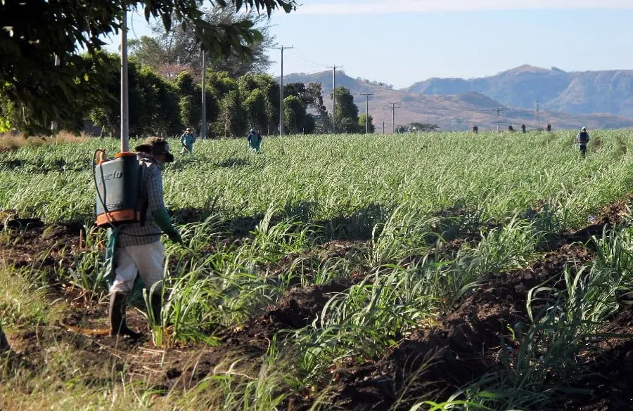 What Life Is Really Like in Rural El Salvador — and Why Visitors Should Understand It