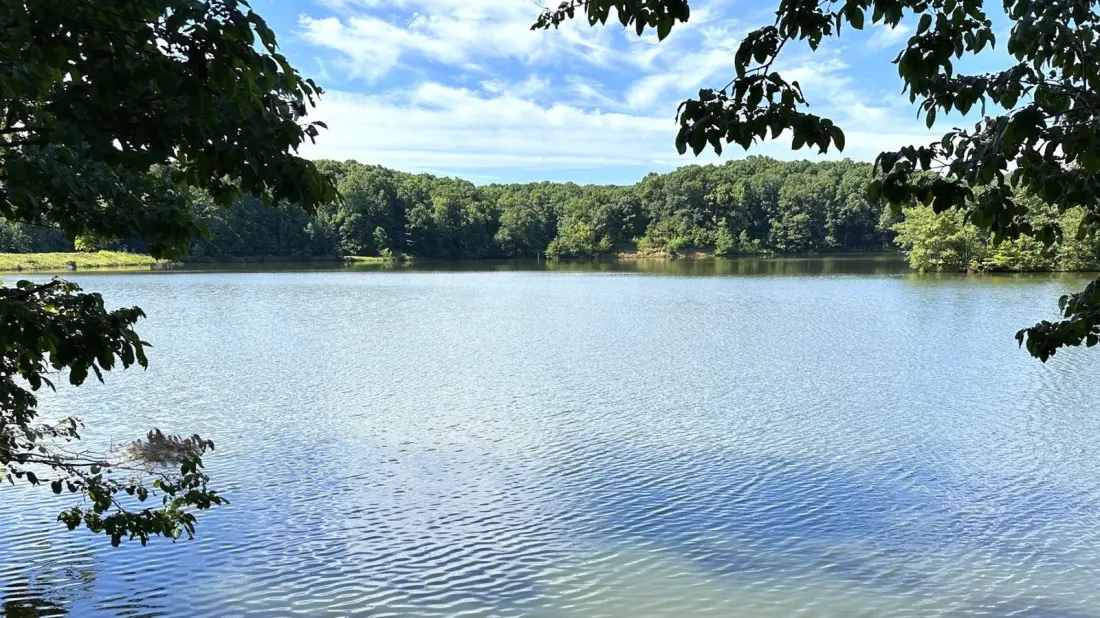 Wynne, Arkansas: The Small City Between Memphis and Little Rock Worth a Stop